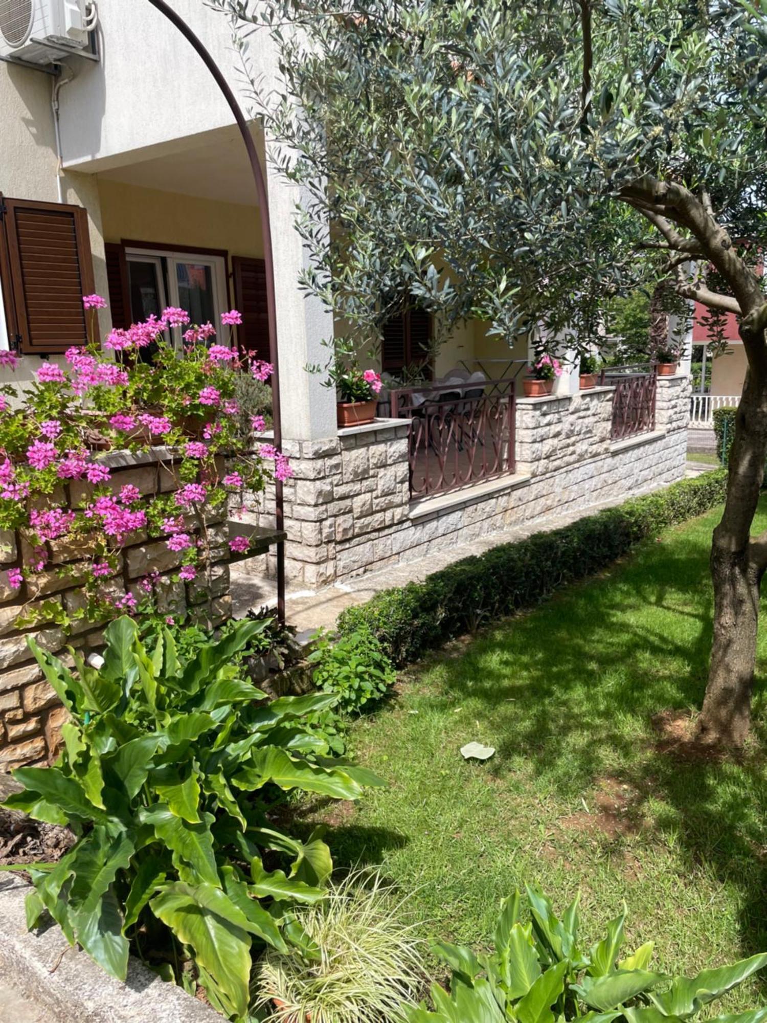 Apartmani Darko Rovinj Exteriör bild