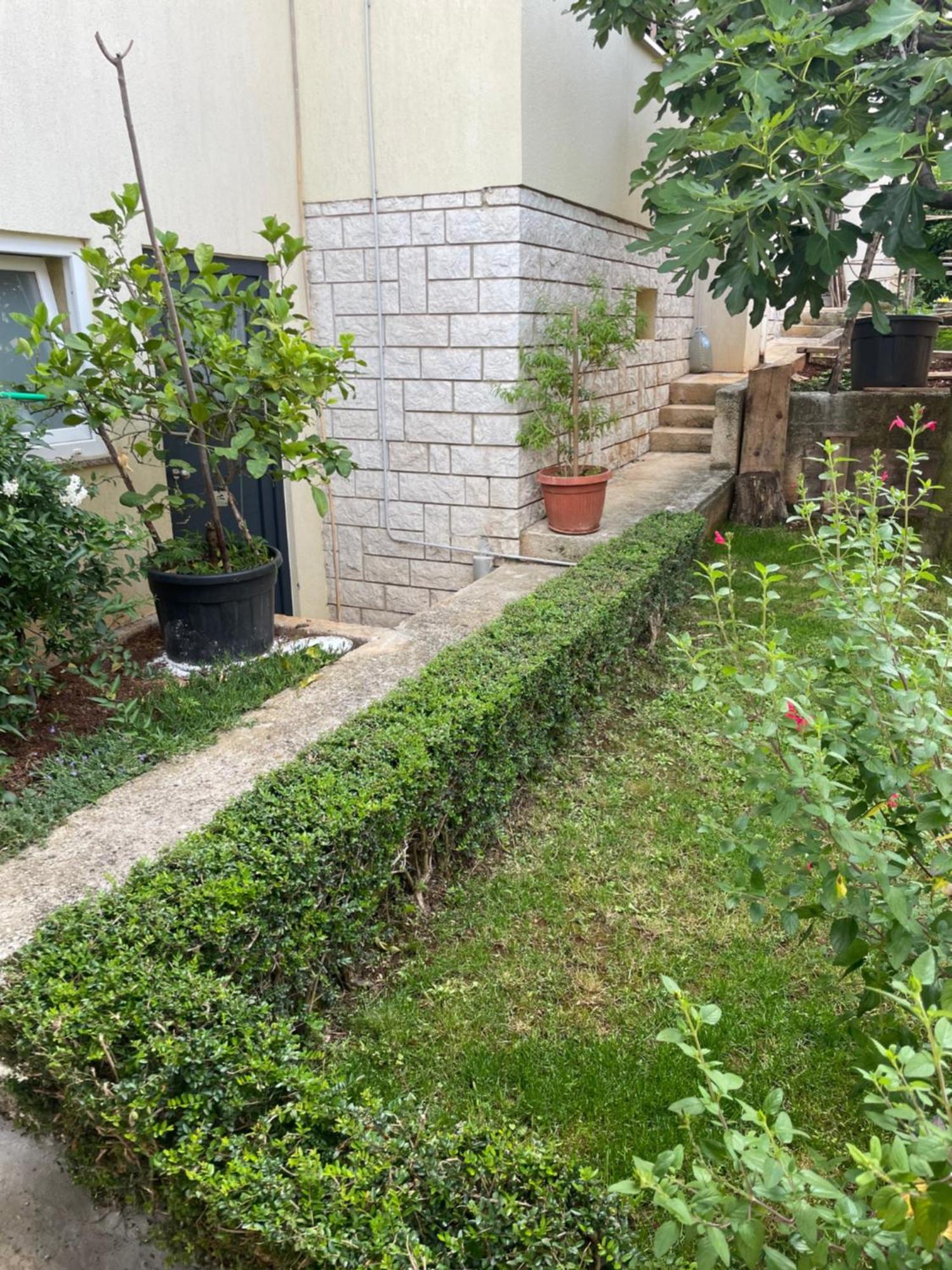 Apartmani Darko Rovinj Exteriör bild